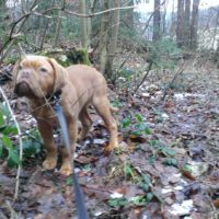 Diva – Impressionen