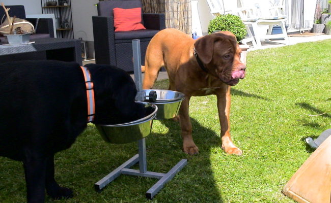 ann-mit-nachbars-jungs-26-06-2010-4