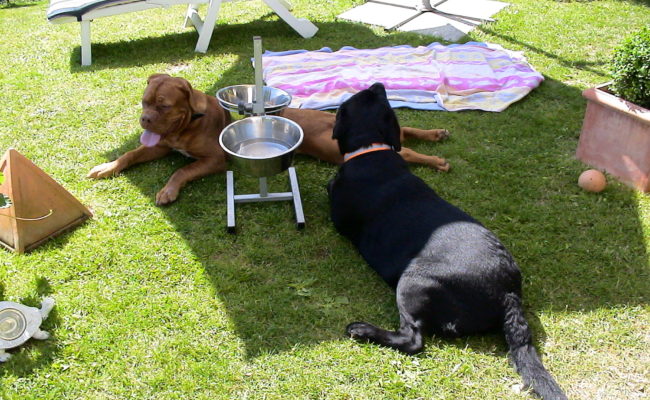 ann-mit-nachbars-jungs-26-06-2010-6