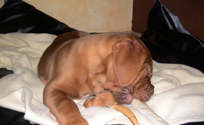 die-ersten-tage-im-neuen-zuhause-februar-2010-12