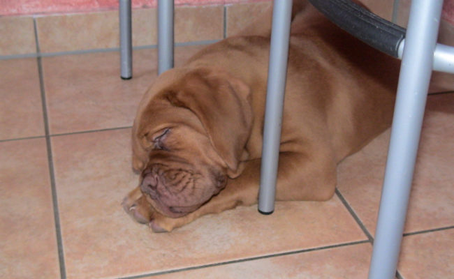 die-ersten-tage-im-neuen-zuhause-februar-2010-4