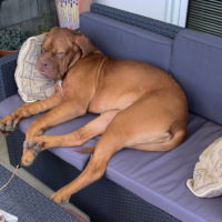 Juli 2010