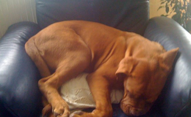 ich-wachse-03-04-2010-11