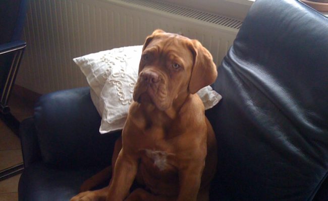 ich-wachse-03-04-2010-3