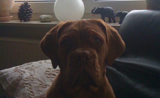 ich-wachse-03-04-2010-4