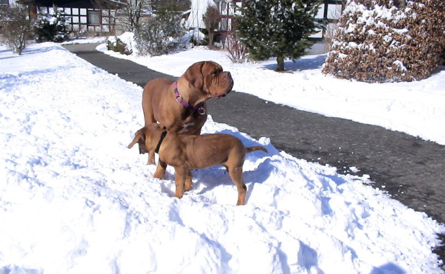 mama-und-papa-zu-besuch-5-03-7-03-2010-20