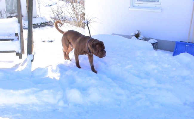 mama-und-papa-zu-besuch-5-03-7-03-2010-26