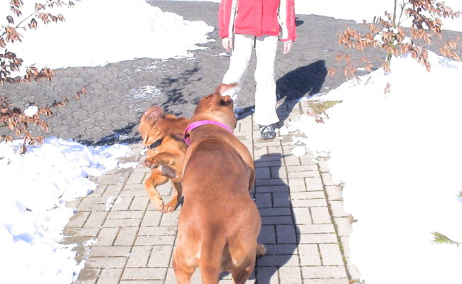 mama-und-papa-zu-besuch-5-03-7-03-2010-27