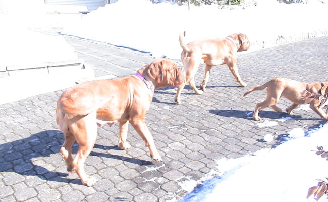 mama-und-papa-zu-besuch-5-03-7-03-2010-29
