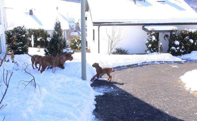 mama-und-papa-zu-besuch-5-03-7-03-2010-30
