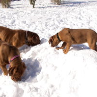 Februar 2010
