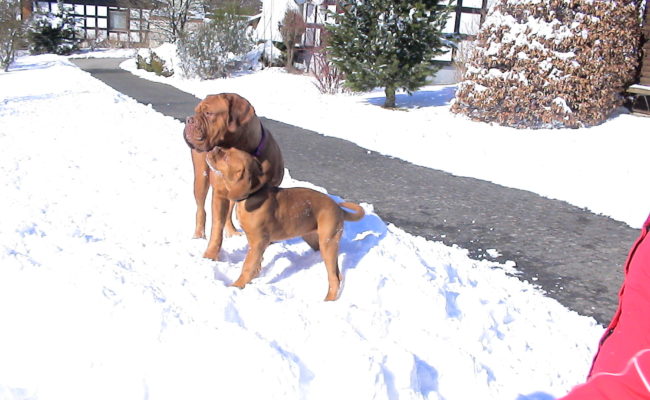 mama-und-papa-zu-besuch-5-03-7-03-2010-39