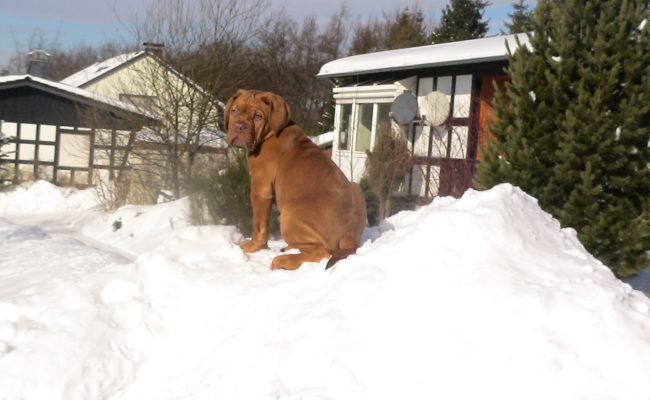 mein-eigener-rodelberg-17-02-2010-011-1