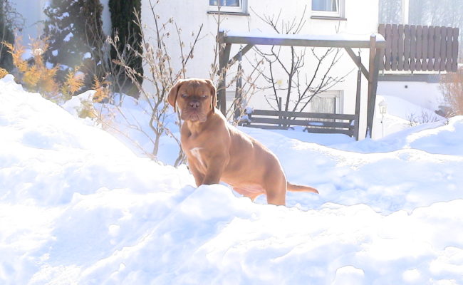 mein-eigener-rodelberg-17-02-2010-011-2