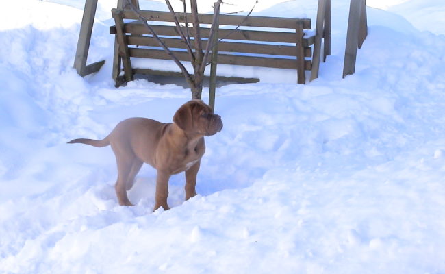 mein-eigener-rodelberg-17-02-2010-011-3