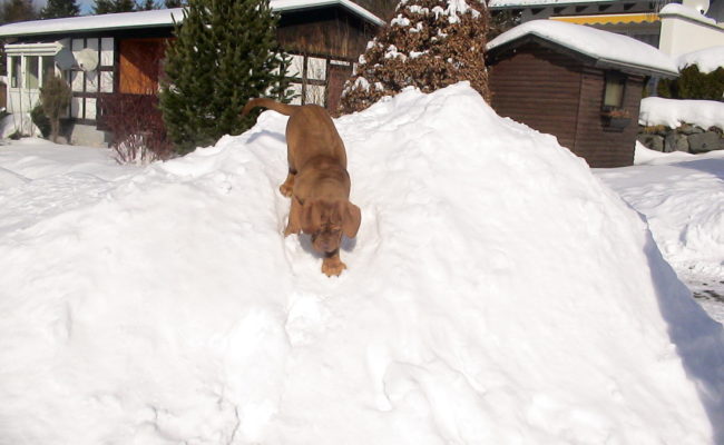 mein-eigener-rodelberg-17-02-2010-011-8