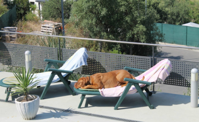 mein-sommerurlaub-an-der-costa-brava-19