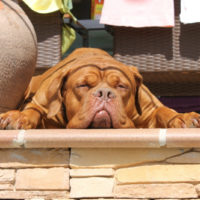 Ann`s Sommerurlaub