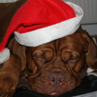 Mein Winter 2011