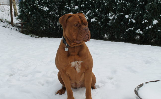 mein-winter-2011-3