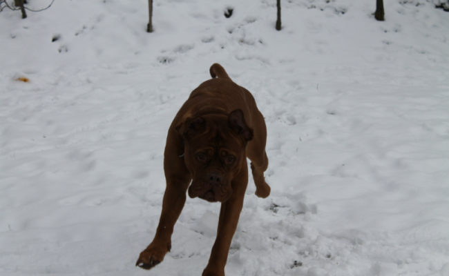mein-winter-2011-4