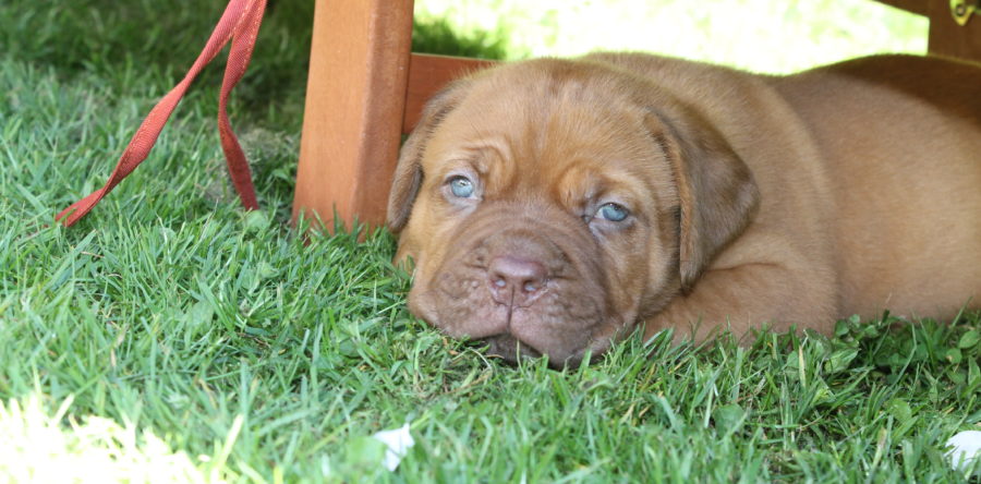 Mein erstes Mal im Garten