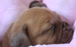 4.-5 Week (41)