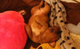 4.-5 Week (48)