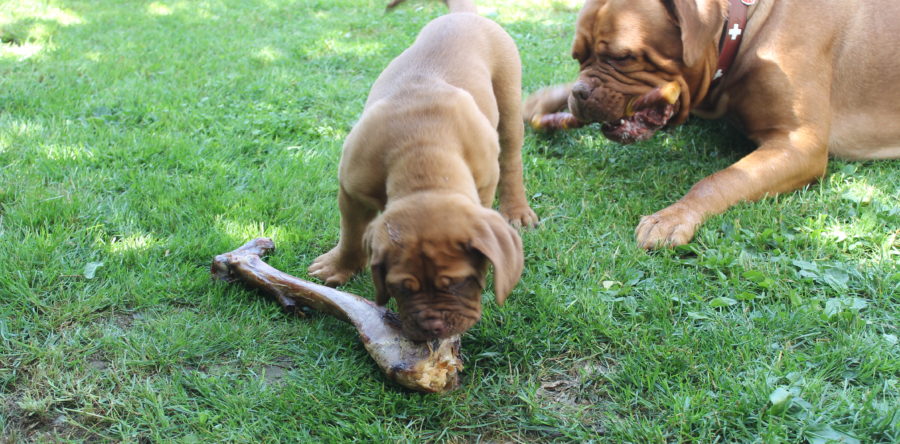 Endlich was festen zum Essen :)