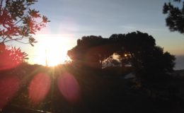 IMAG0850