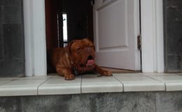 IMAG0877