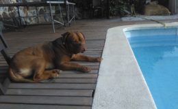 IMAG0904