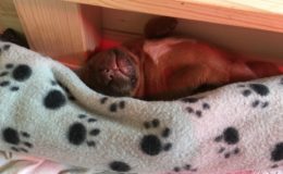 IMG-20180411-WA0000