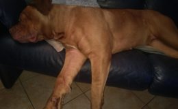IMAG0740