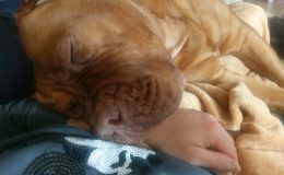 IMAG0843